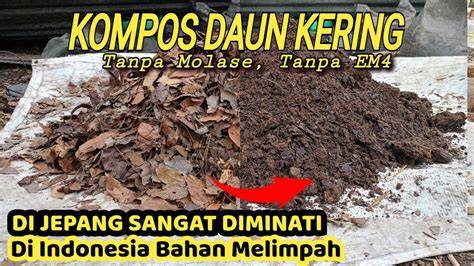 BrazzerS Fb banned akun dimana pun akses mudah kompos dari daun kering focused — saat hot image 5