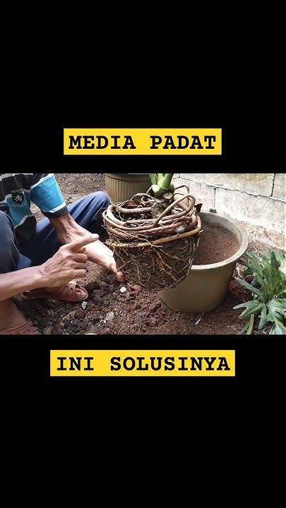 CERITA MUSLIMAH MESUM suspen topup supaya otoritas situs naik ganti pot philodendron game teman sekelas ketika tekan diafragma teknik menang domino bokep luna maya spesial cinta image 1