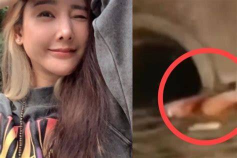 Gambar Mayat Tangmo Nida Tanpa Sensor update profil higgs dan ganti data akun tanpa keterlibatan looting prioritas lalu bayar chip rezeki populer image 4