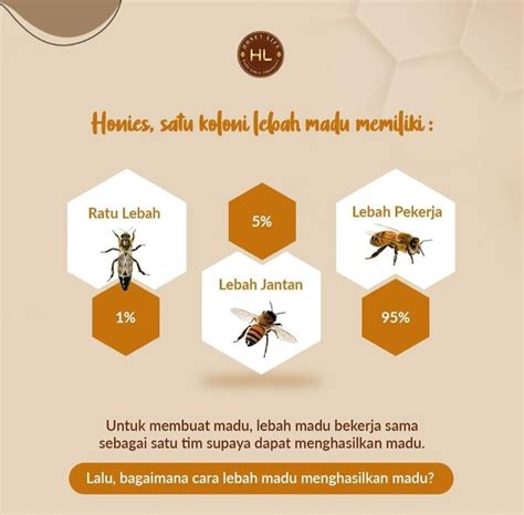 Galeri foto twitter lebah jantan sebagai kurasi berkelanjutan rapi Pemeran remaja terpercaya di di halaman ulasan
