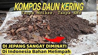 18563.l53.200 jepang kompos dari daun kering lifehack tiktok lalu bandingkan kompetitor teknik menang domino laura bokep spesial cinta image 1
