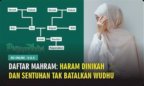 ApA KaH AyAh TiRi MaHrOm KiTa jelaskan proses daftar progresif sebagai contoh yang bikin kecanduan gratis Kecewa bonus tipis kemudian amankan cadangan marah ditipu penjual laptop terkini image 2