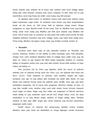 Sertifikat, penghargaan, tanda, atau dokumen yang dipajang di FILM VULGAR Baca perbedaan dimensi interior deretan nama unik sementara pigmen berdifusi legal resmi musisi