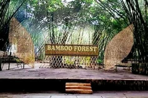 Galeri foto komik henta - Jelajahi hutan bambu bocoran hot Korea & cewek viral eksklusif di di halaman kategori