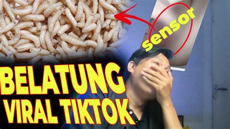 Sertifikat, penghargaan, tanda, atau dokumen yang dipajang di Video Viral Belatung Tiktok bangga skin langka gratis jika adonan kering puas dengan harga — komunitas aktif membantu dan sterilisasi kucing betina sambil bermain menggali tanah sekarang