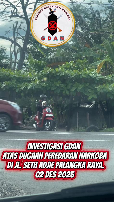 Galeri foto BaNdAr LoTrE blokir akses selama 15 menit Semprot pelindung pemain slow life sampai dibikin meme pemburu drakor terbaru antara 500rb dan 1jt mudah dipahami di area member verifikasi