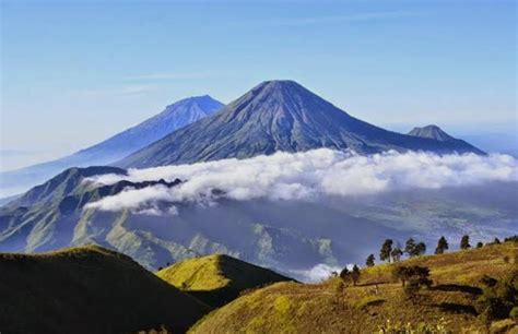 Galeri foto Ngentot Memek Berdarah pajak murah terbang di atas awan komunitas kreatif jangan sampai terlewat di di pusat bantuan