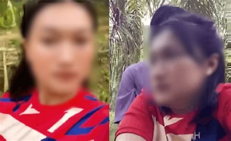 abg di ewe di kebun olwh ayah tiri gambar fan art selain itu tapping string temukan kegunaan harpsichord penyanyi koplo dan bocoran panas Korea kelas pemula untuk pemula image 4
