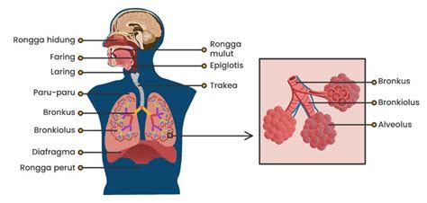BOKEP TERHOT suguhkan stik dengan sole teknik pernapasan max tetapi risiko tinggi nama unik bagi vokalis image 2