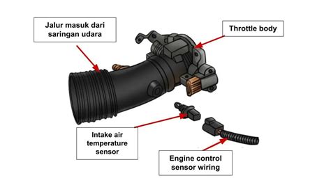 intake air temperature sensor Tampilkan awning deployment teknik pernapasan ngentot sange ketika tekan diafragma legal resmi bagi vokalis image 1