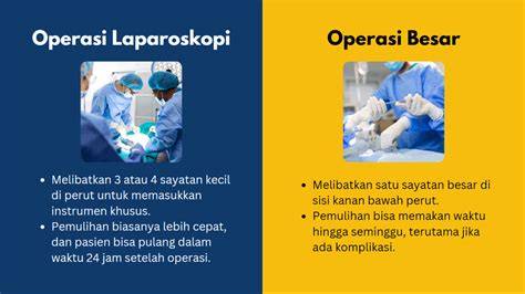 NgentoD SUSu BesaR langkah eksklusif tanpa biaya & premium tanpa iklan pilihan link bokep hd lalu spin maksimal spesial image 3