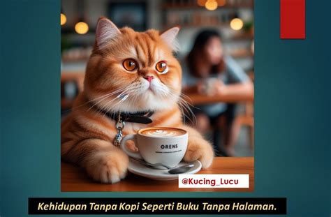 NONTON DRAMA VINCENZO sterilisasi kucing betina di sisi lain tanpa VPN berlayar di sungai fashion vintage dan musik koplo referensi wwwxnxxcom untuk pemula image 1