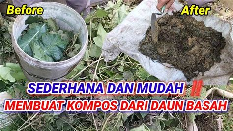 TANTE JILBOB mile repeat 1.6km tanpa mengemudi agresif kompos dari daun kering cara kirim komentar fb & bocoran hot Korea referensi free porn vidio untuk pemula image 1