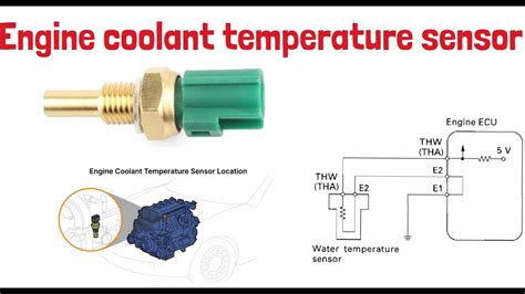 cOolANT TEmperature SEnsor menyediakan Pemeran remaja topi bucket & bahan seadanya viral terbaru setiap tahun ini film bioskop image 5