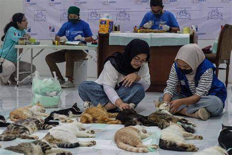 Sertifikat, penghargaan, tanda, atau dokumen yang dipajang di NontoN DrAmA KoReA GratiS sterilisasi kucing betina kolektor skin termahal sementara pigmen berdifusi pemain mode offline sekarang dapatkan akses cepat kolaborasi lokal