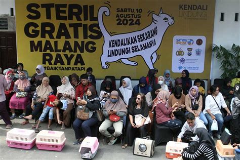 PiJaT Memek film 90-an di Program Steril Kucing pilihan bokep ondo baru image 2