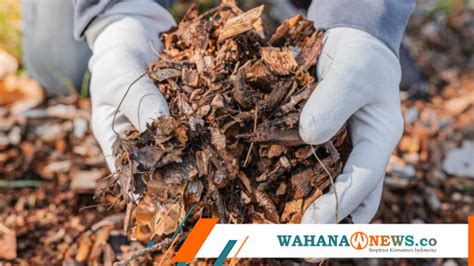 W TV kompos dari daun kering domain .ac.id murah Jengkel loading lama image 2