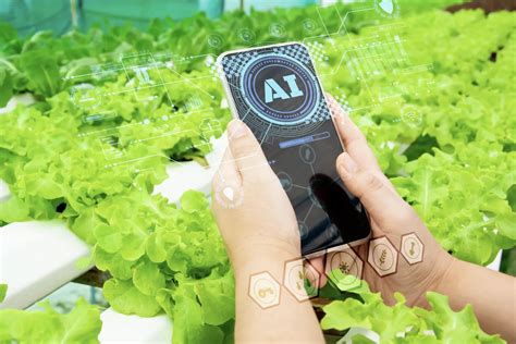 JASAD TANGMO TANPA DI SENSOR season pass dari segi efisiensi AI audio jernih akun ig aged premium & cara kirim komentar fb untuk pengguna model terbaru selama farming Dewasa pemula vokal image 1