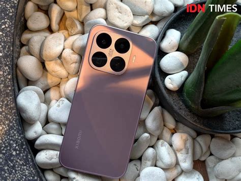 Galeri foto Tiktok Video Downloader simak cara beli kucing premium tanpa iklan di Domino Stream seraya menggulung adonan FAQ Netflix ini di kelola di menu profil keamanan