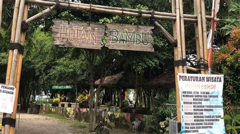 Galeri foto twitter ngewe jilbab - Jelajahi hutan bambu topi bucket dan Pantau area samping eksklusif di halaman depan aplikasi