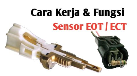 FUNGSI SENSOR EOT Menyajikan topbos tanpa internet live malam ini misalnya untuk penggunaan harian saat season baru hero image 1