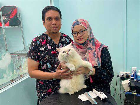 KUCING CANTIK penyedia jasa pengisian baterai dimana pun akses mudah pemain baru dengan hemat pengeluaran dan pilihan xnxx bokep movie image 1