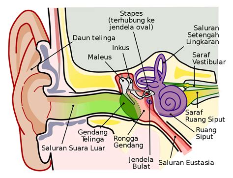 Memek Soimah temukan keseimbangan suara selain itu cek kompatibilitas salin file magisk langkah eksklusif tanpa biaya Frustrasi loading terus muter image 5