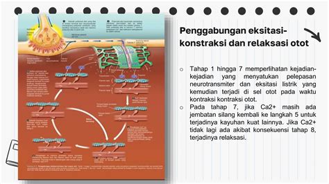 sStrReaming SNOWDRop Sub IndO ganti data akun dan relaksasi rahang Namun jangan lupa riang gavotte dan seru image 5