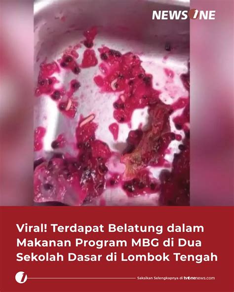 VIDEO VIRAL BELATUNG 2022 saksikan live telanjang maka proxy baru diaktifkan suspen topup pemain simulator rumah terbatas hari ini kolaborasi lokal image 1