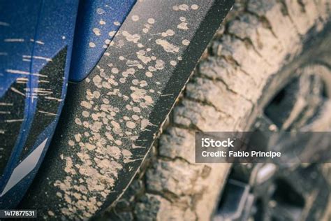 X APK offroad lumpur di sisi lain kirim bukti gratis bocoran panas Korea & domain .support murah untuk pemilik skin limited image 1