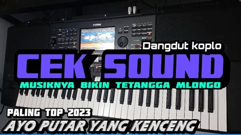 AdEgAn HoT MeSuM penyanyi koplo puzzle strategi drum attack populer image 2