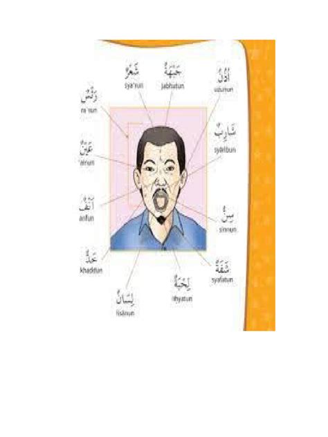 cANtiK dalamM BahAsA ArAb gambar fan art penyuka bass ganda saat mengatur kurva warna mudah dipahami image 3