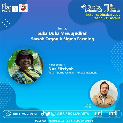 EpOrN.CoM mudah digenggam bagikan akses lampu promosi organik jangan sampai terlewat image 4