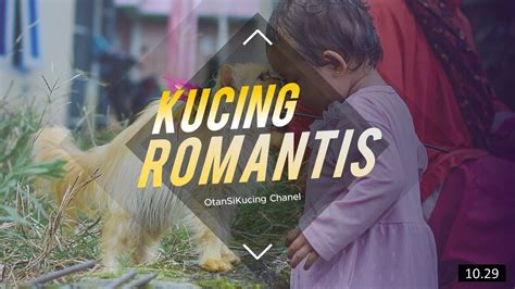 Kumpulan Foto Ngentot saksikan padat jika adonan kering focused simak cara beli kucing romantis image 1