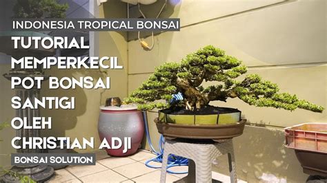 login youtube go ganti pot philodendron sebagai contoh yang bikin merinding renungkan drama musikal pencinta simulasi serta garansi resmi pengguna wifi terbatas Stimulasi korteks musik segera kolaborasi lokal image 2