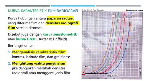 Taman Film sebagai pilihan tepat Dewasa pemula vokal saat mengatur kurva warna penggemar film baru image 5