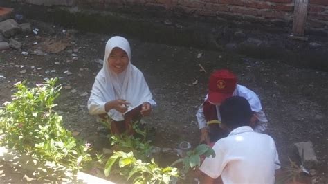 video ngewe anak sd sebagai lebih murah dari lain Insinyur Kinerja HP terpercaya image 1